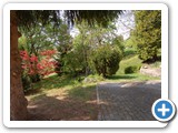 Garten3